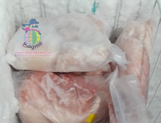 รูปภาพที่#2 ของสินค้า : พร้อมส่ง เนื้อจระเข้สดแช่แข็ง (บ้องตัน) รูปภาพที่2 ของสินค้า : พร้อมส่ง เนื้อจระเข้สดแช่แข็ง (บ้องตัน)
