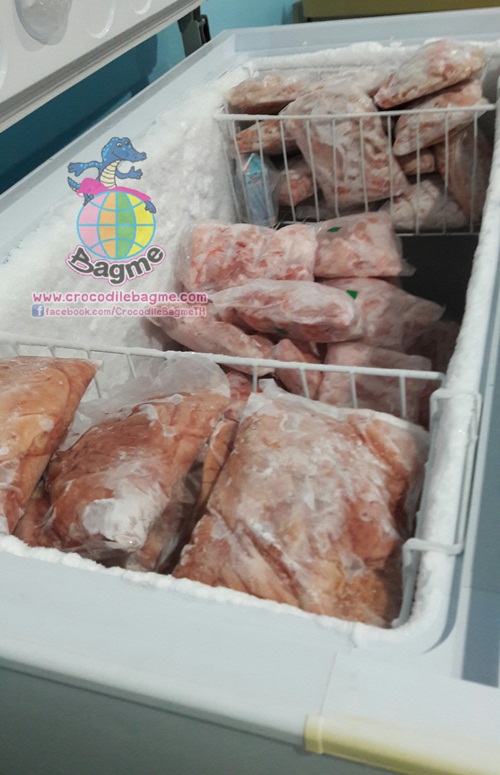 รูปภาพที่#2 ของสินค้า : พร้อมส่ง เนื้อจระเข้สดแช่แข็ง ใส้ รูปภาพที่2 ของสินค้า : พร้อมส่ง เนื้อจระเข้สดแช่แข็ง ใส้