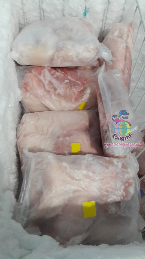 รูปภาพที่#3 ของสินค้า : พร้อมส่ง เนื้อจระเข้สดแช่แข็ง (บ้องตัน) รูปภาพที่3 ของสินค้า : พร้อมส่ง เนื้อจระเข้สดแช่แข็ง (บ้องตัน)